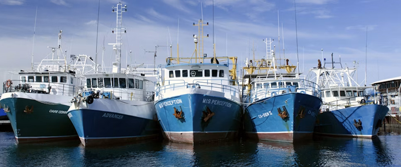 Remote Fleet Compliance Manager